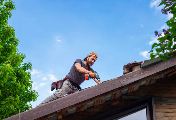 Best Steel Roofing  in Bethel Island, CA